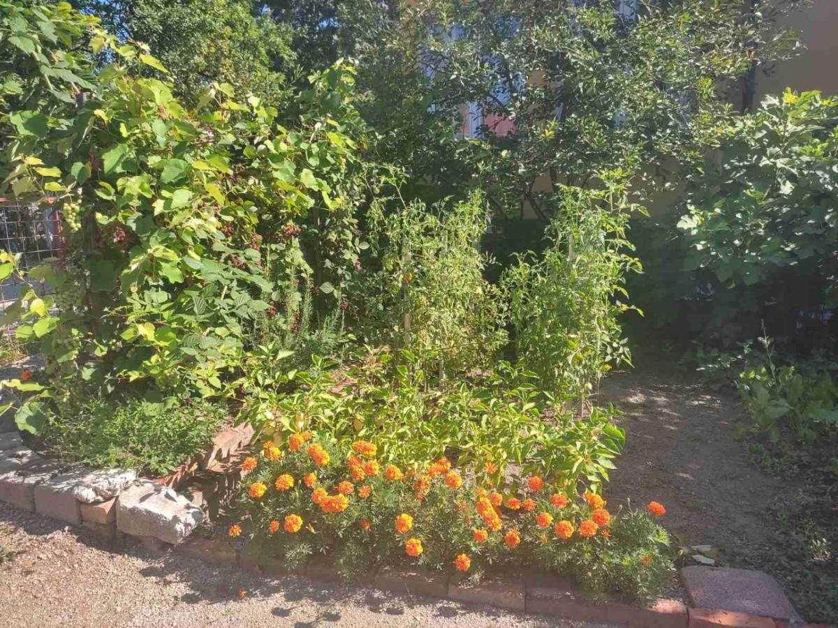 Apartman Hujic Apartment Bihac Luaran gambar